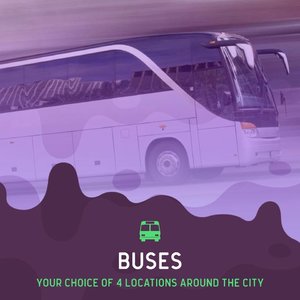 Bay Dreams North Island 2019 - Bus Tickets