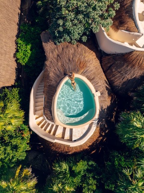 Jungle Rooftop Pool at Papaya Playa Project