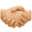 🤝🏼