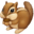 🐿