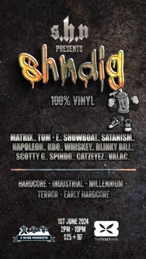 The Shndig 100% Vinyl photo