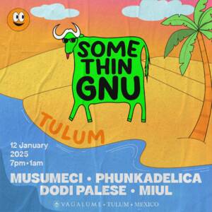 VAGALUME PRESENTS SOMETHINGNU