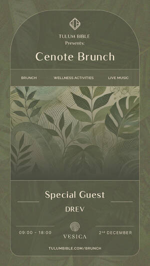 Cenote Brunch 2nd December