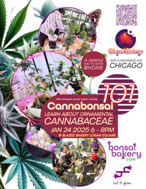 Cannabonsai 101 @ Blazed Bakery Logan Square