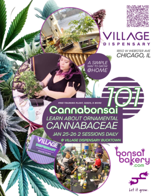 Cannabonsai 101 @ Village Dispensary Bucktown (Class 1) photo