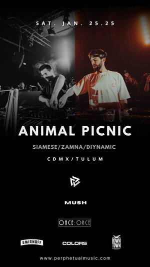 ANIMAL PICNIC / CDMX / ZAMNA @ DOWNTOWN HOTEL