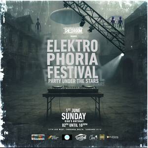 Elektrophoria Festival photo