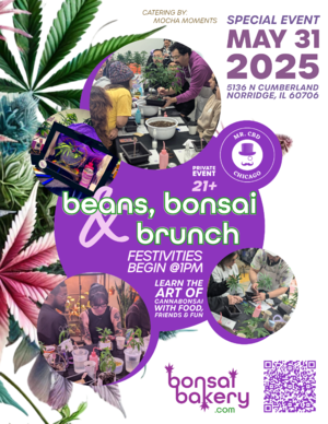 Beans, Bonsai & Brunch photo