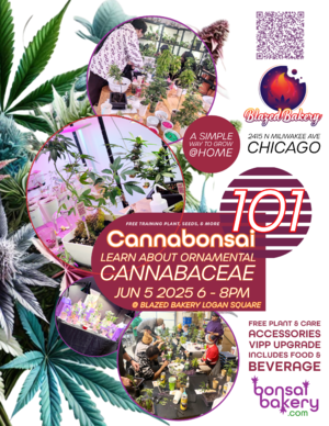 Cannabonsai 101 @ Blazed Bakery (Logan Square) photo