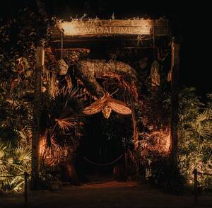 VAGALUME PRESENTS: LUZ MICHEL photo