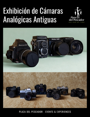 Exhibición de Cámaras Analógicas Antiguas photo