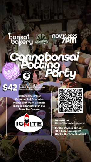 Cannabonsai Potting Party @ Ignite photo