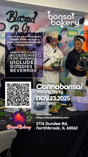 Cannabonsai Potting Party: Thanks Edition photo