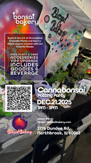 Cannabonsai Potting Party: Holiday Edition photo