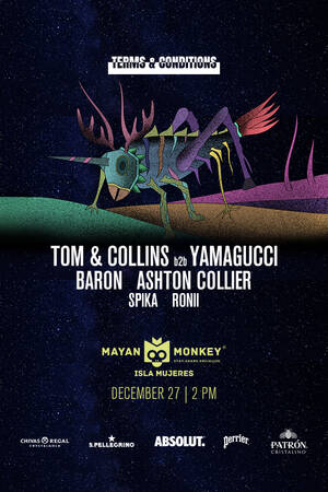 TERMS & CONDITIONS photo