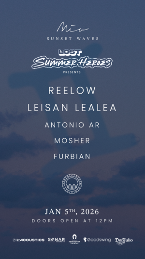 GEMINIS - SUMMER HEROES photo