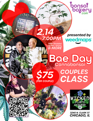 bae dae @ wicked plants - Event in Chicago