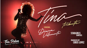 Tina - tribute by Diana Villamonte