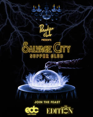 Salvage City New York