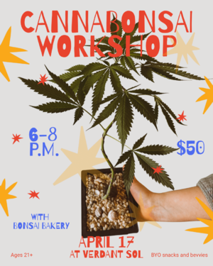 Cannabonsai Workshop @ Verdant Sol