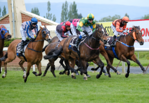 Dunedin Casino Melbourne Cup Day | Dunedin