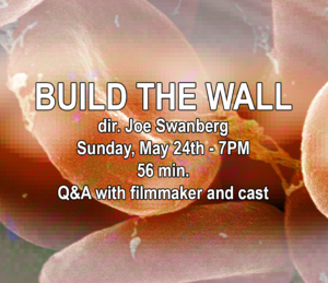 Build The Wall