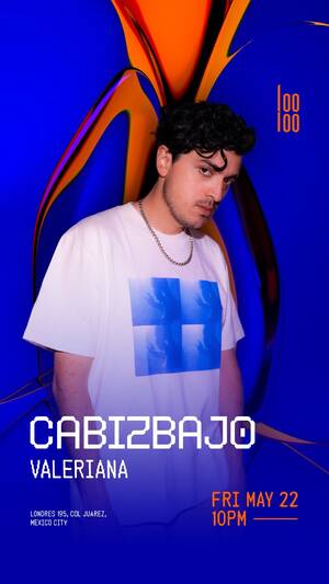 Cabizbajo
