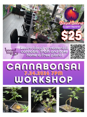 Cannabonsai Workshop @ Blazed Bakery Logan Square