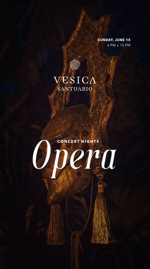 Concert Nights | Vesica Santuario