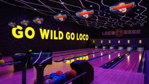 Loco Bear - Adult Adventure Pass (Minimum Height 108 cm)
