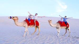 Camel Trekking Tour in Abu Dhabi