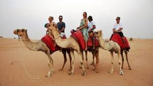Private Morning Dubai Desert Safari 