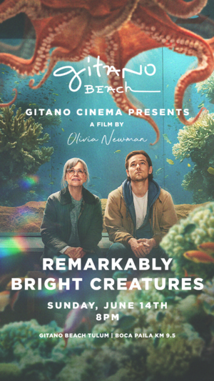 GITANO BEACH CINEMA EXPERIENCE