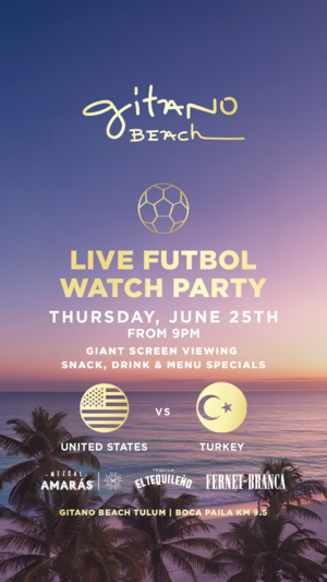 USA VS TURKEY
