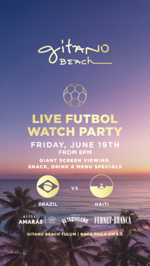 BRAZIL VS HAITI