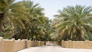 Al Ain City Tour from Abu Dhabi