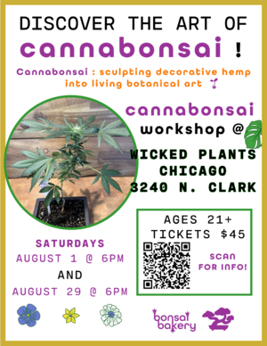 Cannabonsai Workshop @ Wicked Plants