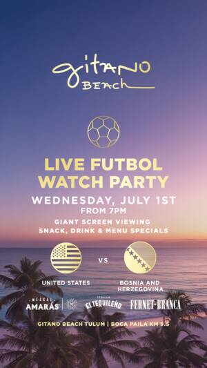 USA VS BOSNIA & HERZEGOVINA