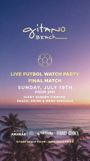 LIVE FUTBOL FINAL MATCH