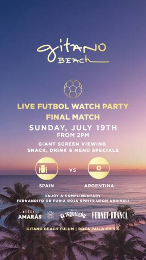 ARGENTINA VS SPAIN FINAL MATCH