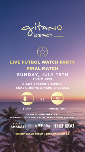 ARGENTINA VS SPAIN FINAL MATCH