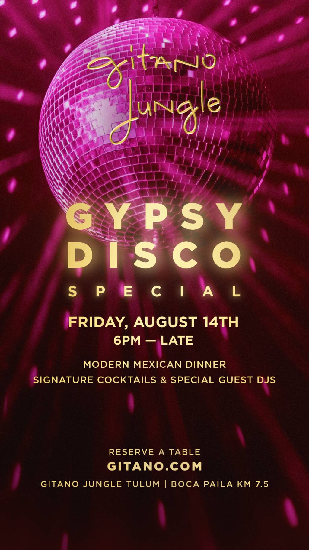 GYPSY DISCO SPECIAL EDITION