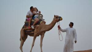 Camel Trekking at Ras Al Khaimah Bedouin Oasis Camp with transfers in RAK (Minimum 2 Guests)