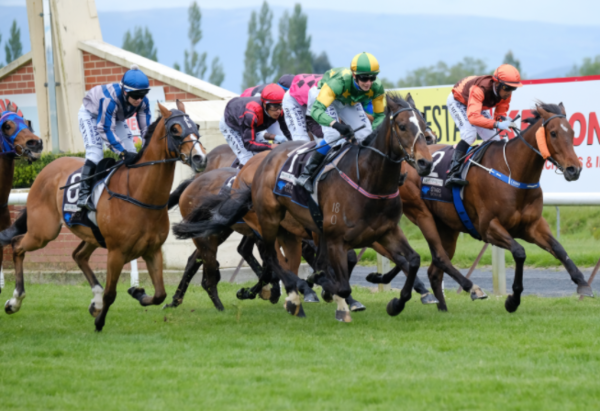 Winning post lounge | WAITING LIST's Tickets | Mosgiel | Wingatui Race ...