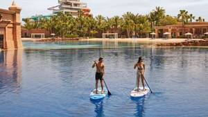 Atlantis Dolphin Paddle