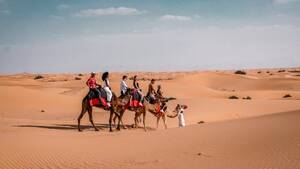 Camel Trekking Adventure - Private Vehicle (maximum 6 pax)