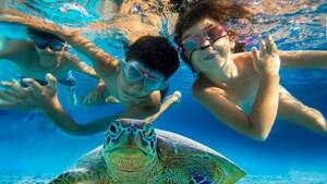 Nemo Diving Center: Snorkeling Trip in Fujairah with Shared Transfers from Dubai