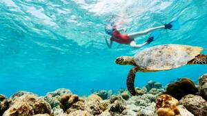 Nemo Diving Center: Beginner Scuba Diving in Fujairah with Shared Transfers from Dubai