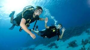 Nemo Diving Center: PADI Basic Scuba Diver Course (12m) in Fujairah