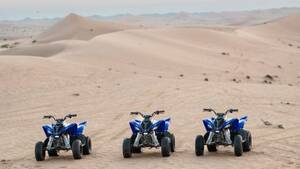 Quad Bike with Shared Transfers from Abu Dhabi